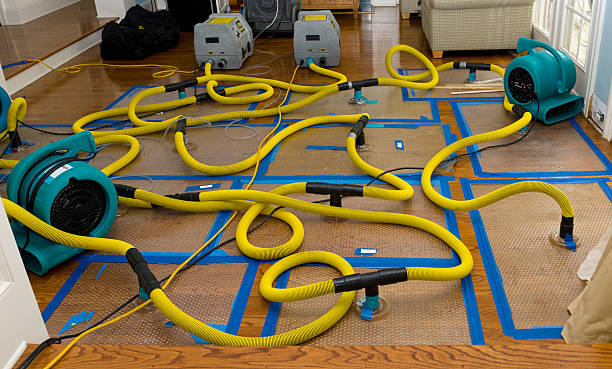 Professional Burst Pipe Water Damage technician working in Seymour, IN